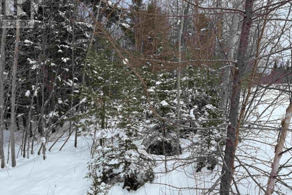 1 Barren Road, Seal Cove, NS B0E2K0 Photo 4