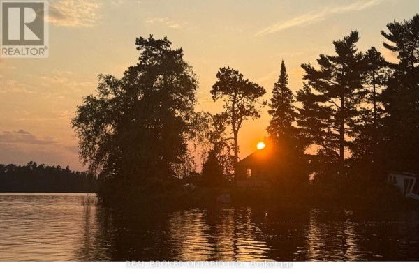 1 Butterfield Island, Rideau Lakes, ON K0G1L0 Photo 5
