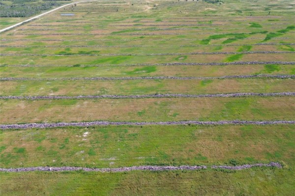 Aerial view of cleared agricultural land with yellow wildflowers and muddy patches, distant trees and sky. - 1 Cayer Road, Ste Rose Du Lac