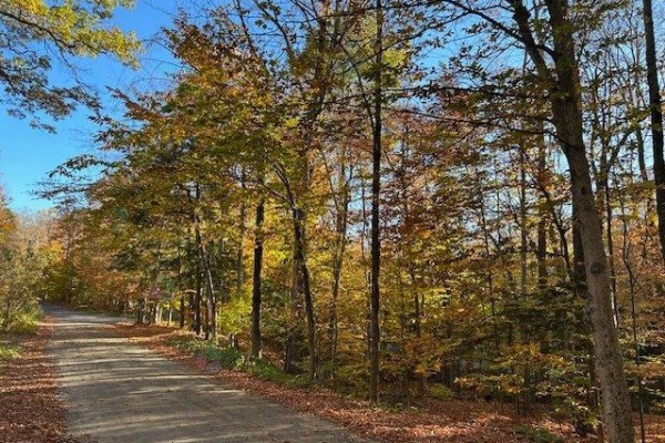 1 Ch. Des Lièvres, Montebello, QC J0V1L0 Photo 5