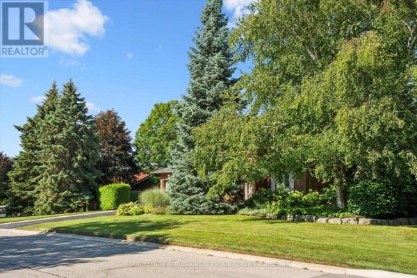 Recreational, Games room - 1 Chatterson Drive, Hamilton, ON L9G1B6 Photo 5