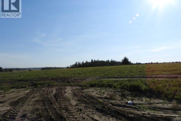 1 Country Acres, Rural Ponoka County, AB T0C2J0 Photo 4