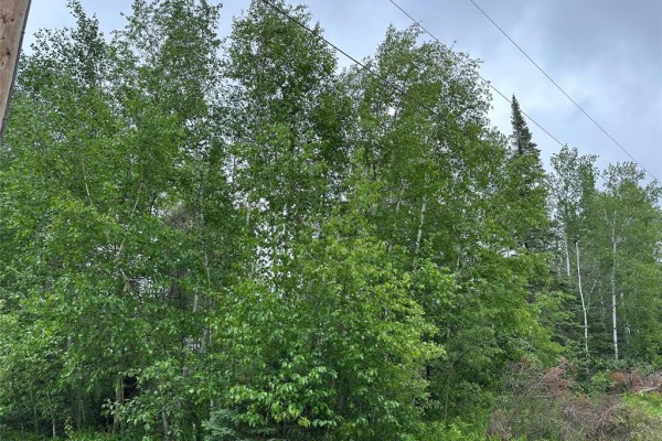 1 Evergreen Road, Victoria Beach, MB R0E2C0 Photo 4