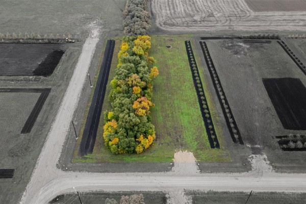1 Iron Horse Drive, Ile Des Chenes, MB R0A0T4 Photo 2