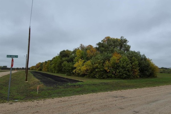 1 Iron Horse Drive, Ile Des Chenes, MB R0A0T4 Photo 3
