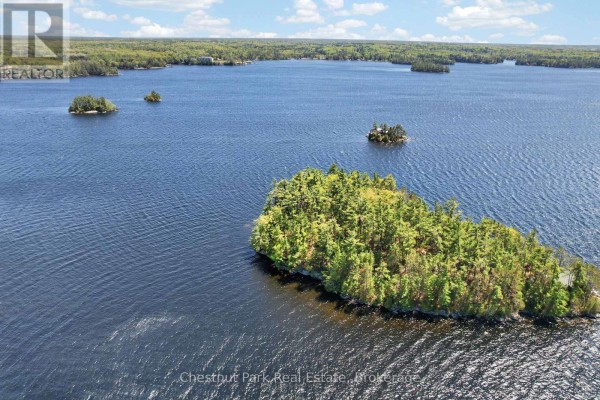 1 Island 20lm Island, Gravenhurst), ON P1P1R2 Photo 3