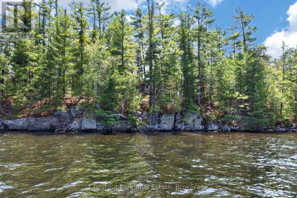 1 Island 20lm Island, Gravenhurst), ON P1P1R2 Photo 4