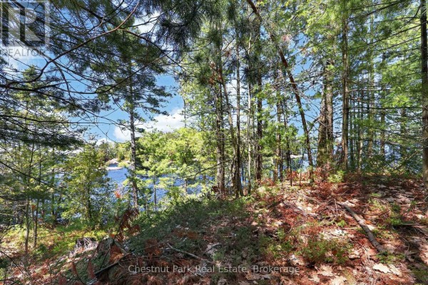 1 Island 20lm Island, Gravenhurst), ON P1P1R2 Photo 5