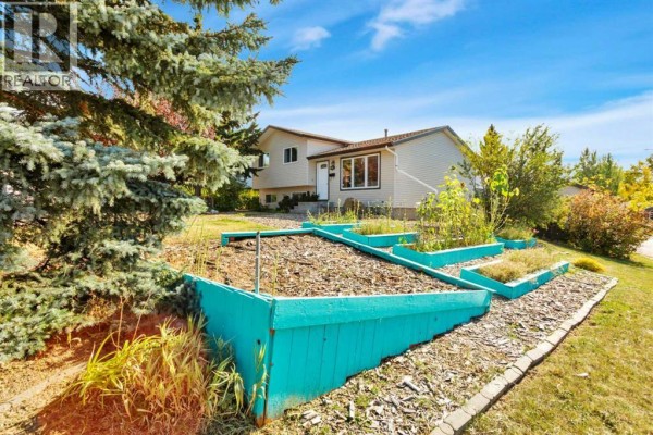 View of raised garden beds with bright teal painted wood bordering, surrounded by dry mulch. - 1 Mountain Place, Sylvan Lake