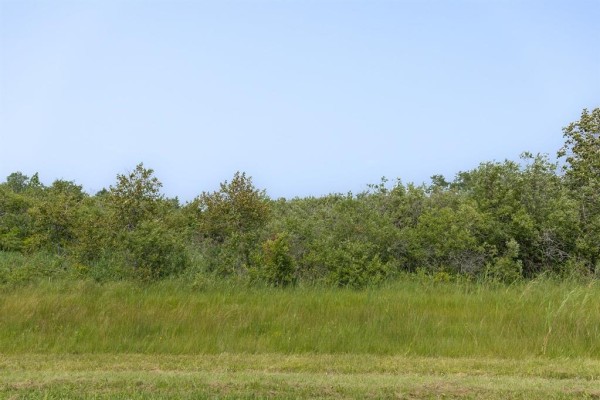 View of a grassy field with a distant treeline and a bright blue sky. - 1 River 59n Road, Anola