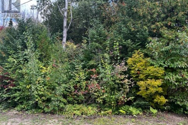 1 Shore Road, Saugeen Shores, ON, photo 2