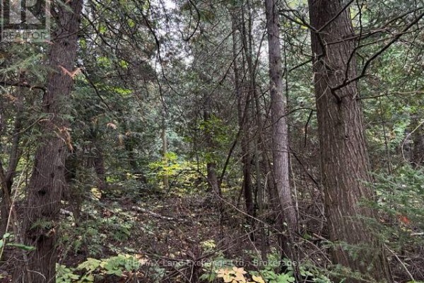 1 Shore Road, Saugeen Shores, ON N0H2L0 Photo 5
