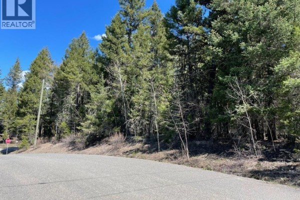 Lot 1 Sussnee Road, 108 Mile Ranch, BC V0K2Z0 Photo 4