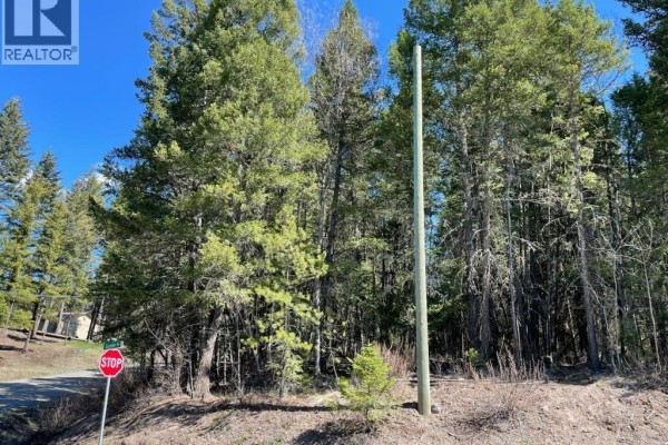 Lot 1 Sussnee Road, 108 Mile Ranch, BC V0K2Z0 Photo 5