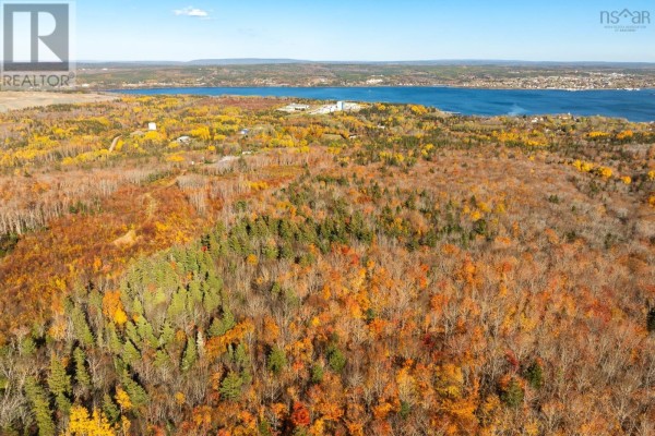 1 Tracadie Road, Mulgrave, NS B0E2G0 Photo 4