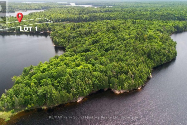 Aerial view of Lot 1, a 6.57-acre parcel of forested land on Lake Wahwashkesh. - 1 W/a Lake Wahwashkesh, Whitestone
