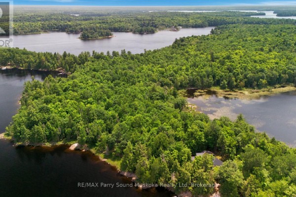 Aerial view of a peninsula on Lake Wahwashkesh covered in dense green forest. - 1 W/a Lake Wahwashkesh, Whitestone