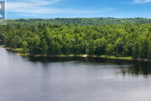 Waterfront view of a forested shoreline on Lake Wahwashkesh with green trees and blue sky. - 1 W/a Lake Wahwashkesh, Whitestone