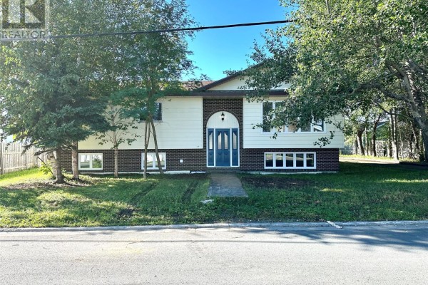 1 Whitmore Street, Grand Falls Windsor