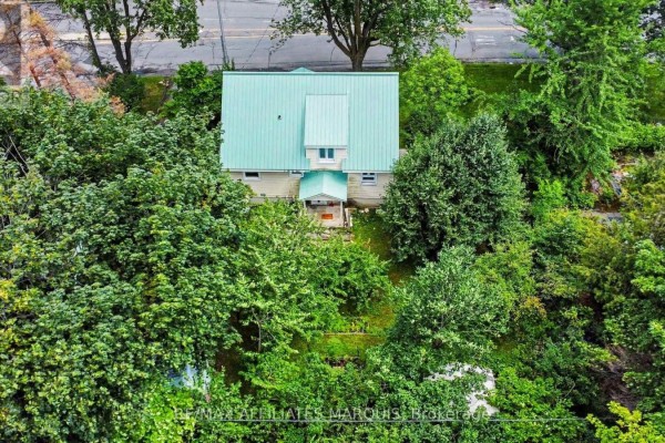 Elevated view of a house with green metal roof surrounded by lush green trees and vegetation. - 1 Withrow Avenue, Ottawa