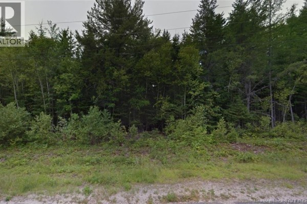 1.07 Acres Gray Street, Miramichi, NB E1V5X1 Photo 3
