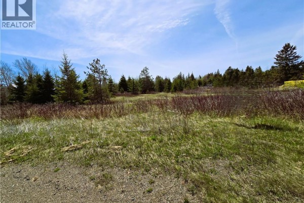 1.3 Acres Route 113, Miscou, NB E8T1C7 Photo 4