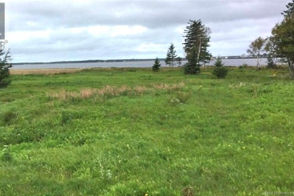 1.4 Acres Route 113, Haut Lameque, NB E8T3L4 Photo 4