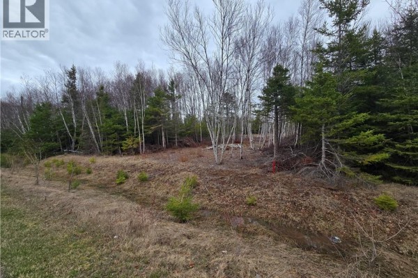 1.5 Acres Chemin Pierre-à-miguel, Pokemouche, NB E8P0E3 Photo 2