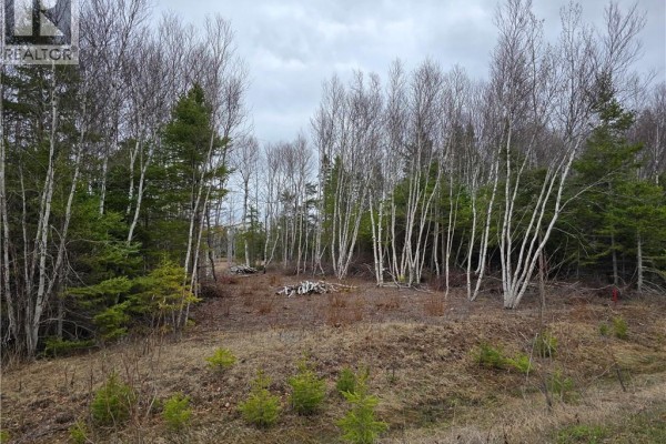 1.5 Acres Chemin Pierre-à-miguel, Pokemouche, NB E8P0E3 Photo 4