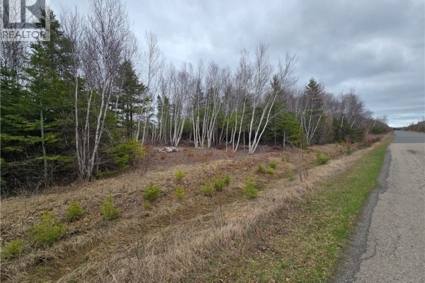 1.5 Acres Chemin Pierre-à-miguel, Pokemouche, NB E8P0E3 Photo 5