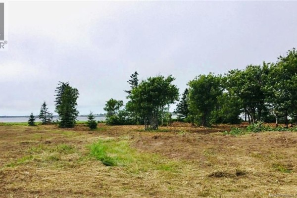 1.5 Acres Route 113, Haut Lameque, NB E8T3L4 Photo 2
