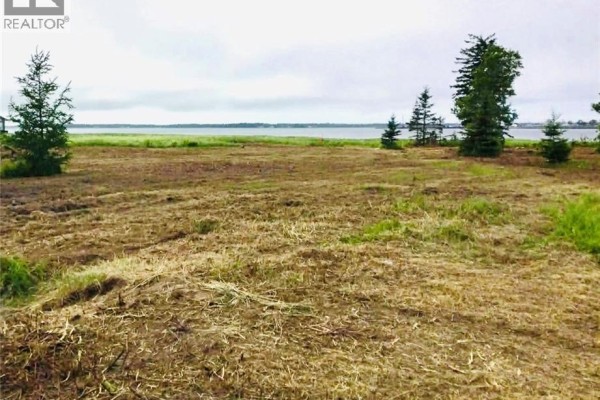 1.5 Acres Route 113, Haut Lameque, NB E8T3L4 Photo 3