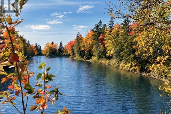 1.5 Acres Route 117, Black River Bridge, NB E1N5K5 Photo 3