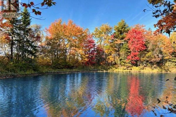 1.5 Acres Route 117, Black River Bridge, NB E1N5K5 Photo 4