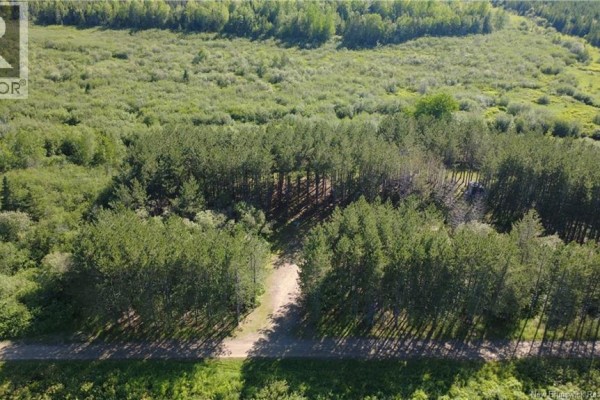 1.84 Acres Route 135, Rang Saint Georges, NB E8R2C1 Photo 5