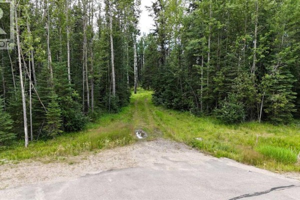 10, 16511 Township Road 532a, Rural Yellowhead County, AB T7E3A6 Photo 5