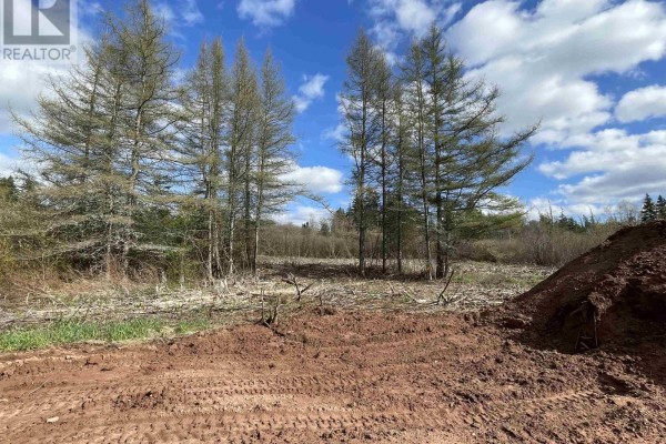 Red dirt pile with tire tracks, surrounded by trees and cleared land under a blue sky. - 10-1 13 Riverbend Drive, Brookdale
