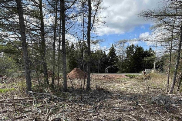 View through trees of a dirt pile, cleared land, and a road with a white structure. - 10-1 13 Riverbend Drive, Brookdale