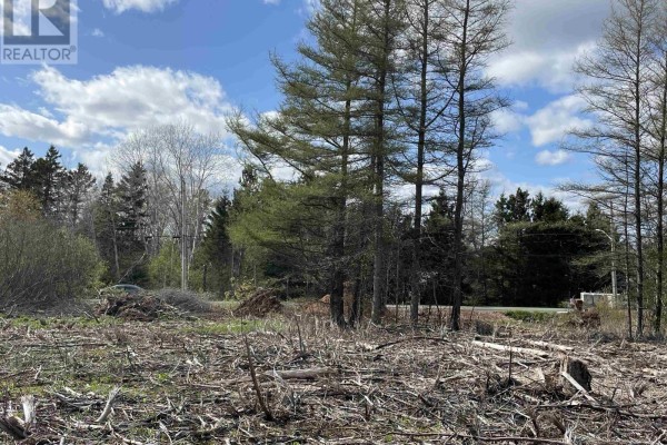 Clearing with tree stumps and debris, pine trees, and distant trees under a cloudy sky. - 10-1 13 Riverbend Drive, Brookdale