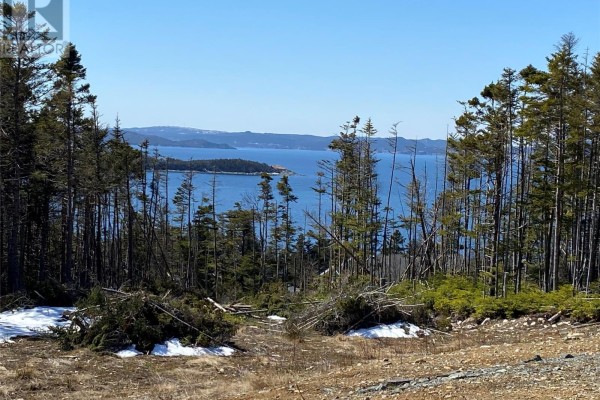 10-12 Marsh Road, New Harbour, NL, photo 3