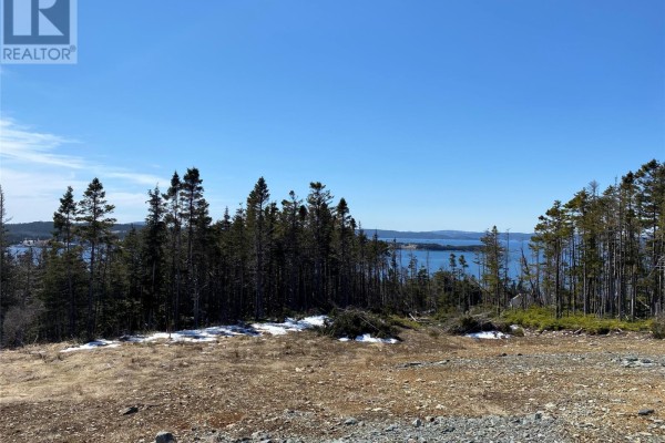 Wooded landscape with scattered snow patches leading to a wide ocean vista under a clear blue sky. - 10-12 Marsh Road, New Harbour