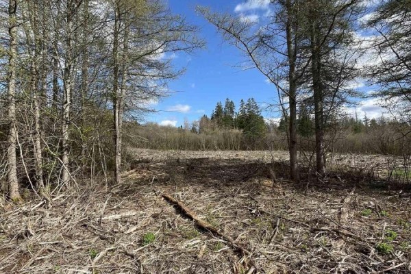 10-2 13 Riverbend Drive, Brookdale, NS B4H3Y1 Photo 4