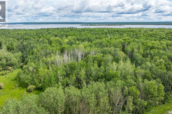 10 Acre Delaronde Lake Acreage, Delaronde Lake, SK S0J0E0 Photo 5