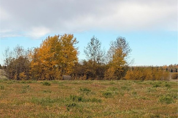 10 Acres Northern Meadows, Lac Des Iles, SK S0M1A0 Photo 3