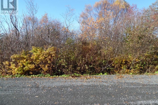 10 Beach Road, Clarenville, NL A5A4C9 Photo 4