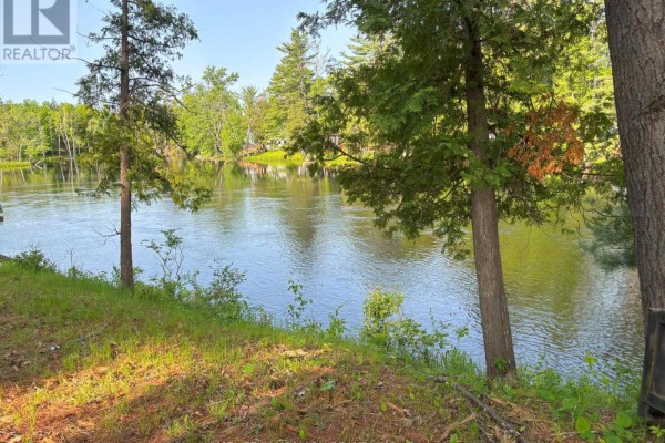 Wide river viewed through green trees from a grassy bank with pine needles. - 10 Fire Route 19 Route, Havelock Belmont Methuen