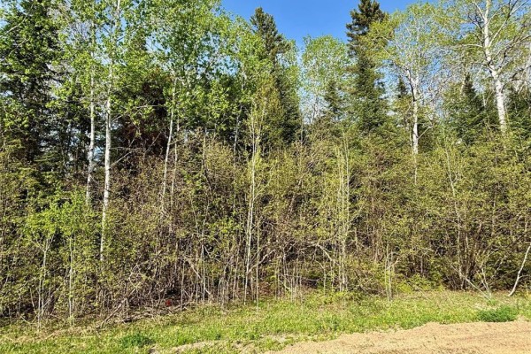 10 Glen Abbey Cove, Traverse Bay, MB R0E2A0 Photo 2