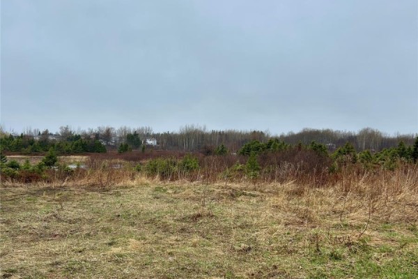 10 Kingston Road, Grand Falls Windsor, NL, photo 3