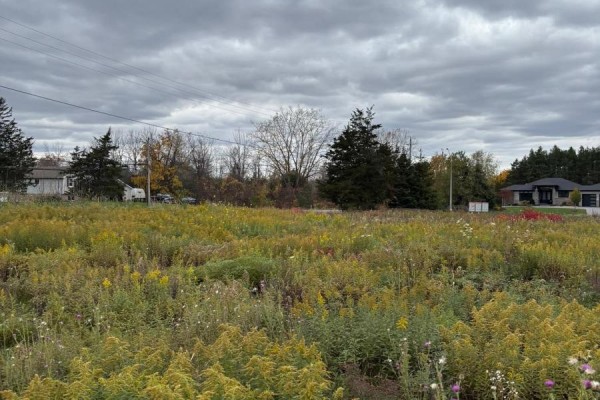 10 Leaside (lot 7) Street, Prince Edward County, ON K8N0G1 Photo 3