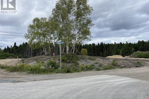 10 Northside Road, Eastport, NL A0G1Z0 Photo 2
